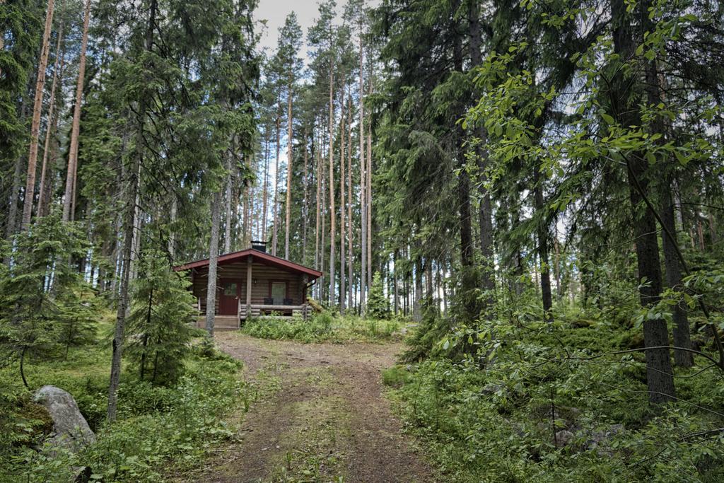 Вілла Hevossilta Форсса Екстер'єр фото